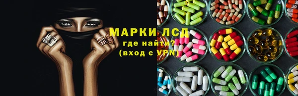 ГАЛЛЮЦИНОГЕННЫЕ ГРИБЫ Вязники